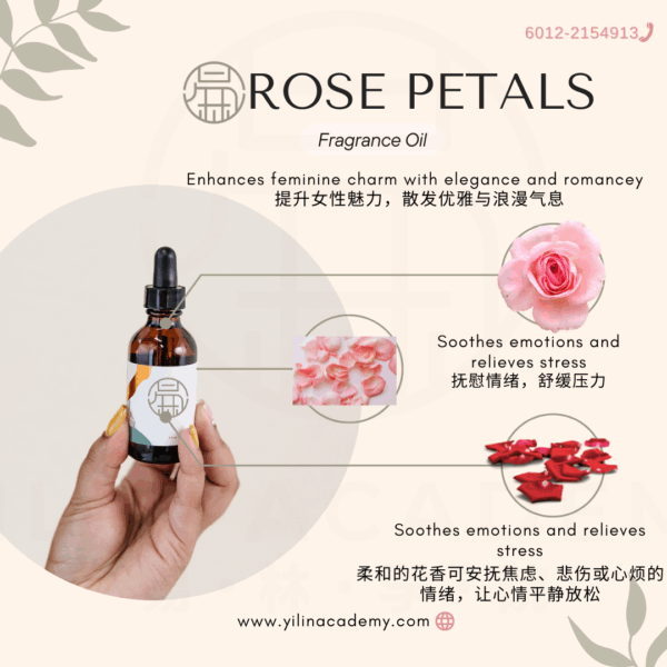 Rose Fragrance Oil 玫瑰香调香氛