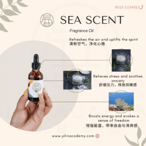 Sea Scent Fragrance Oil  海洋香调香氛