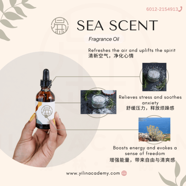 8.png Sea Scent Fragrance Oil 海洋香调香氛