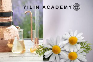 洋甘菊纯露 Chamomile Flora Water 100ml