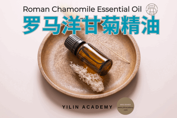 Essential-Oil-Presentation-Template-1-12.png 5ml 罗马洋甘菊精油 Roman Chamomile Essential Oil