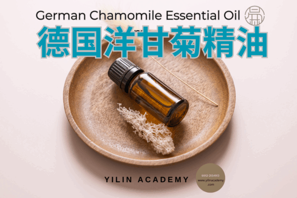 Essential-Oil-Presentation-Template-1-13.png 5ml 德国洋甘菊精油 German Chamomile Essential Oil