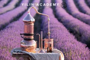 薰衣草纯露 Lavender Flora Water 100ml