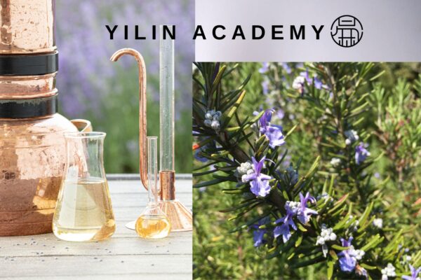 Essential-Oil-Presentation-Template-1-3.jpg 迷迭香纯露 Rosemary Flora Water 100ml