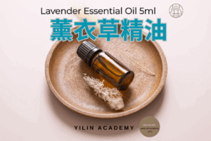 5ml 薰衣草精油 Lavender Essential Oil