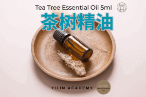5ml 茶树精油 Tea Tree Essential Oil