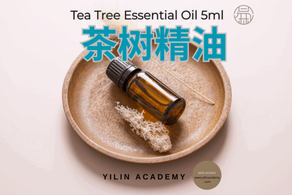 Essential-Oil-Presentation-Template-17.png 5ml 茶树精油 Tea Tree Essential Oil