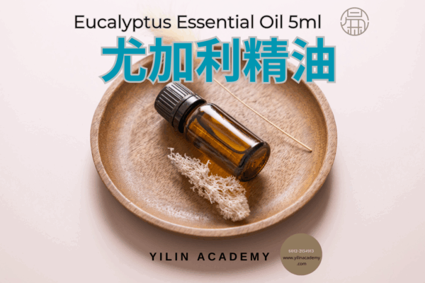 Essential-Oil-Presentation-Template-18.png 5ml 尤加利精油 Eucalyptus Essential Oil