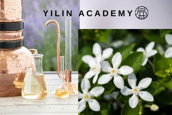 Essential-Oil-Presentation-Template-2-1.jpg 茉莉纯露 Jasmine Flora Water 100ml