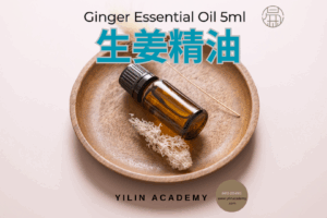 5ml 生姜精油 Ginger Essential Oil