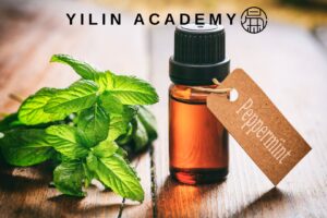 5ml 薄荷精油 Peppermint Essential Oil