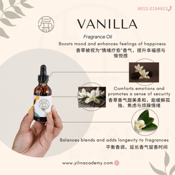 Pink-Pastel-Rose-Aesthetic-Product-Skincare-Promotion-Instagram-Post-1-3.png Vanilla Fragrance Oil香草香调香氛