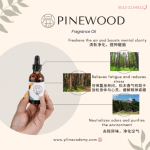 Pinewood Fragrance Oil 松木香调香氛