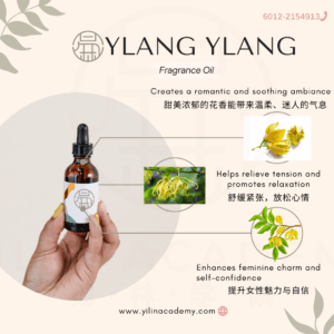Ylang Ylang Fragrance Oil 依兰香调香氛