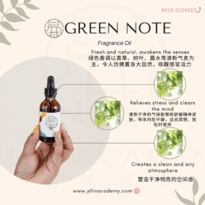 Green Note Fragrance Oil 绿色香调香氛
