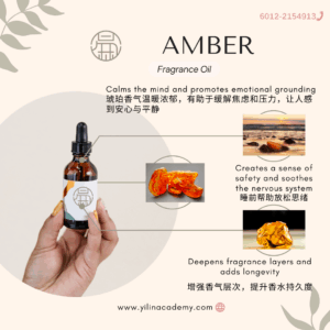 Amber Fragrance Oil 琥珀香调香氛