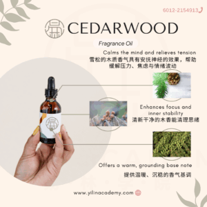 Cedarwood Fragrance Oil 雪松香调香氛
