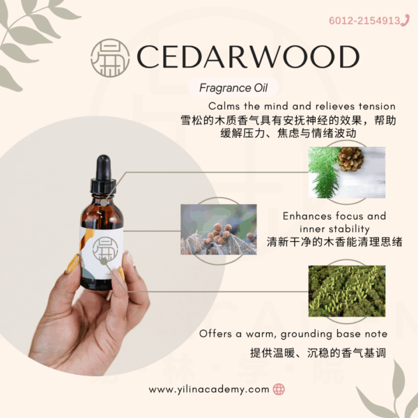 Pink-Pastel-Rose-Aesthetic-Product-Skincare-Promotion-Instagram-Post-3.png Cedarwood Fragrance Oil 雪松香调香氛