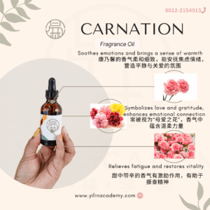 Carnation Fragrance Oil 康乃馨香调香氛