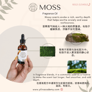 Moss Fragrance Oil 苔藓香调香氛