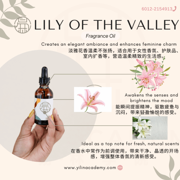 Website的产品系列-5.png Lily of the Valley Fragrance Oil 铃兰香调香氛