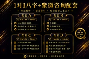 八字 + 紫微1对1咨询