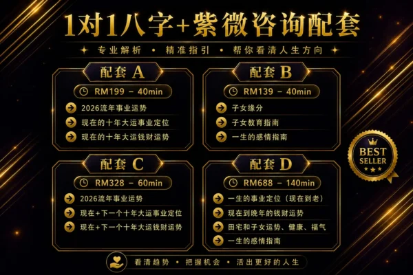 八字 + 紫微1对1咨询