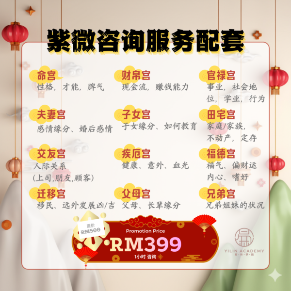 第一行 (1) 紫微1对1咨询【1小时】