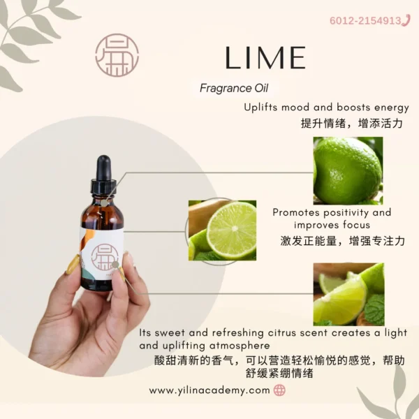 强力祛瘀止痛、促进血液循环 Relieves headache and hangover discomfort Lime Fragrance Oil (青柠/莱姆)香调香氛